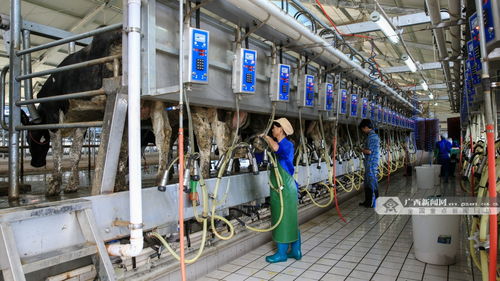 鐘山科技服務 以信息技術咨詢助力富民產(chǎn)業(yè)發(fā)展